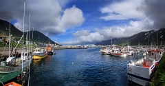foto 14353