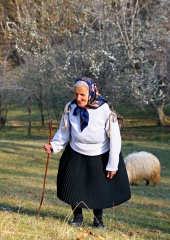 foto 9512