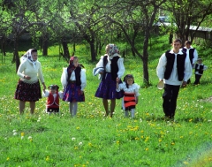 foto 9509
