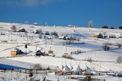 foto 9445